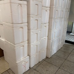 大量の発砲スチロール 早い者勝ち！の画像