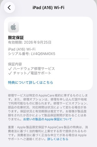 ジャンク品　iPad （A16）　256GB 第11世代　Wi-Fiモデル