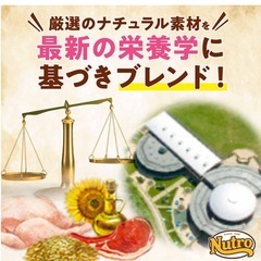 ニュートロ ナチュラル チョイス 小型犬用 エイジングケア チキン＆玄米 3kg ごはん ご飯 ナチュラルチョイス NATURAL CHOICE ドッグフードの画像