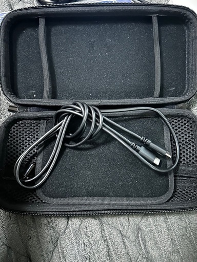 Switch light パープル　　値下げ