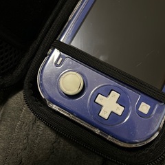 Switch light パープルの画像