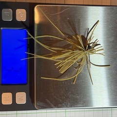 釣具19 ラバージグ8個 (タキ⭐️値下げ交渉可) 須賀川のその他の中古