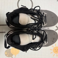 ナイキ　レブロン バスケシューズ　27.5の画像