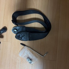 Yamaha Pacifica の画像
