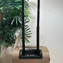 ACE エース キャリーバッグ スーツケース ベージュ 機内持込可 4輪 使用2回 キャリーケース 旅行バッグ トラベルバッグの画像