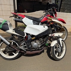 希少！実働！カスタム多数！TZR50Rの画像