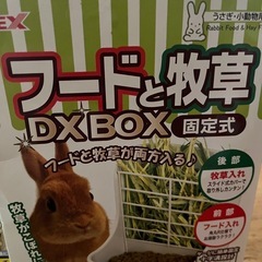 小動物グッズ2点セットの画像