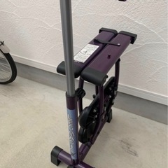 レッグマジック パープルの画像