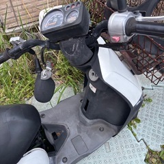 ヤマハギア　の画像