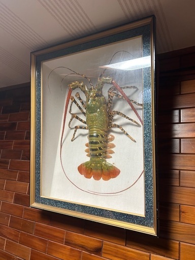 伊勢海老　海老　剥製　額　在銘　作家作品　インテリア　オブジェ　r464 伊勢海老 海老 剥製 額 在銘 作家作品 インテリア オブジェ r464