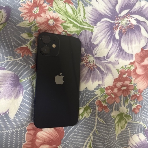 iPhone12 mini (なつめ) 鷲津のその他の中古あげます・譲ります
