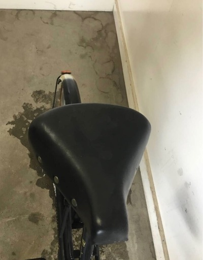 q★k-32岐阜発　△ Lavien / 自転車 △ 20インチ / 走行確認 / 防犯あり / タイヤひび割れあり / 折りたたみな