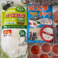 カブトムシ　飼育セットの画像