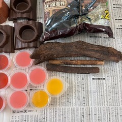 カブトムシ　飼育セットの画像