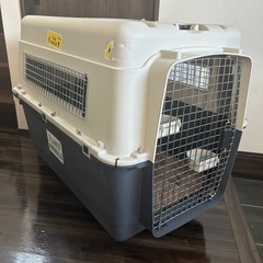 大型犬 クレート XXLの画像