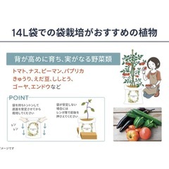 新品⭐️ボタニカルソイルEX  培養土　14Lの画像