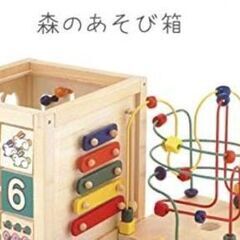 エド・インター　森のあそび箱　定価16500円現行タイプの画像