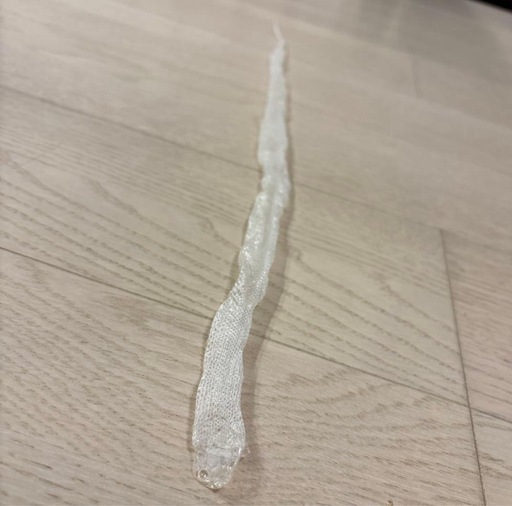 白蛇の抜け殻