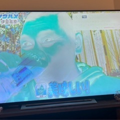 TOSHIBA テレビ　の画像