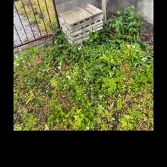 ブロック植木鉢の画像