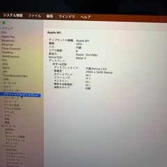 MacBook Air M1 16GB 1TB CTOモデル 美品の画像