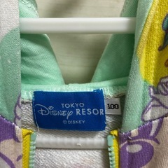 ディズニーランド限定イースター柄のパーカーの画像