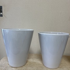 植木鉢　胡蝶蘭鉢　陶器の画像