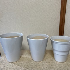 植木鉢　胡蝶蘭鉢　陶器の画像
