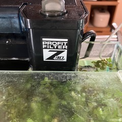 60cmガラス水槽＋フィルターセット　おまけありの画像
