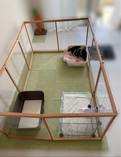 ペットサークル　ゲージ　犬