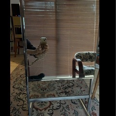 写りの歪み無し！　ビンテージ　ミラー　全身鏡　　アンティークの画像