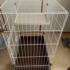 ゲージの画像