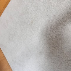 ⭐️高反発ラグの画像