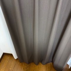 カーテン　ニトリ　キャッチCリコットの画像