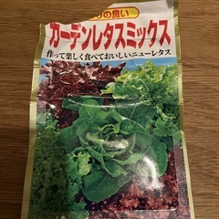 野菜の種(ほうれん草とレタスミックス)の画像