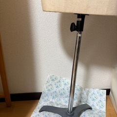 トルソーの画像