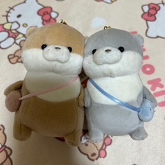 カワウソ未使用4セット
の画像