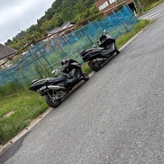 マジェcの画像