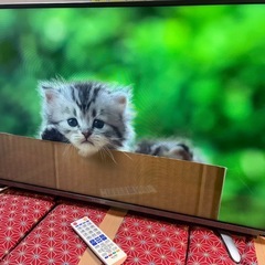 Hisense 40インチ液晶テレビ HS40K225 美品の画像