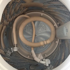 Hisense 洗濯機 HW-T45Cの画像