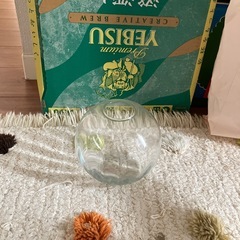 （お話し中）置き物？の画像