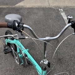 サカモトテクノカリブーライトの画像