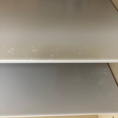【商談中】プリザーブドフラワー乾燥保管機の画像