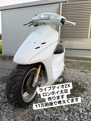 ライブディオ ZX ロンホイ太足4J ツースト (キラ) すずらんの里の