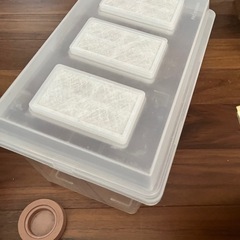 クワ、カブ飼育ケースの画像