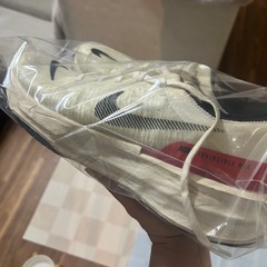 NIKE インヴィンシブル3SEの画像