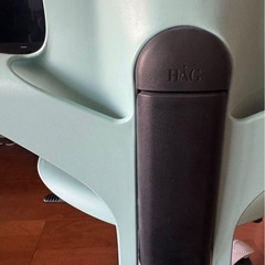 HAG Capisco
 Pulsの画像