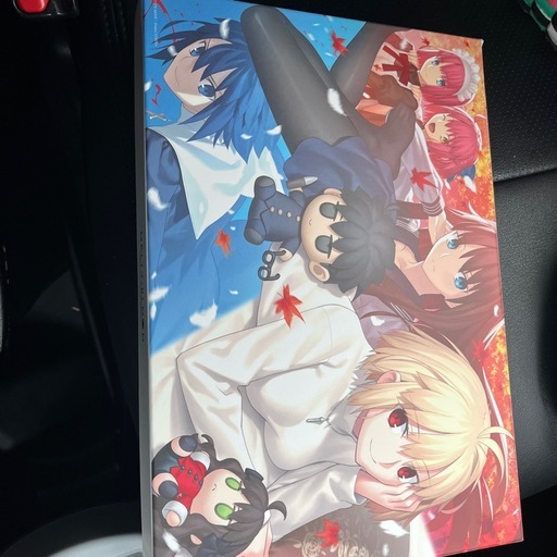 初回限定版MELTY BLOOD: TYPE LUMINA MELTY BLOOD ARCHIVES 同梱物あり