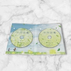 【植物図鑑 運命の恋、ひろいました】豪華版 DVD セル版 岩田剛典 豪華版 初回限定生産の画像