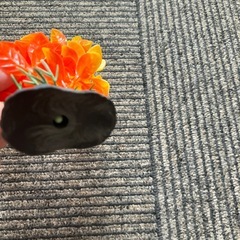 人工水草④の画像